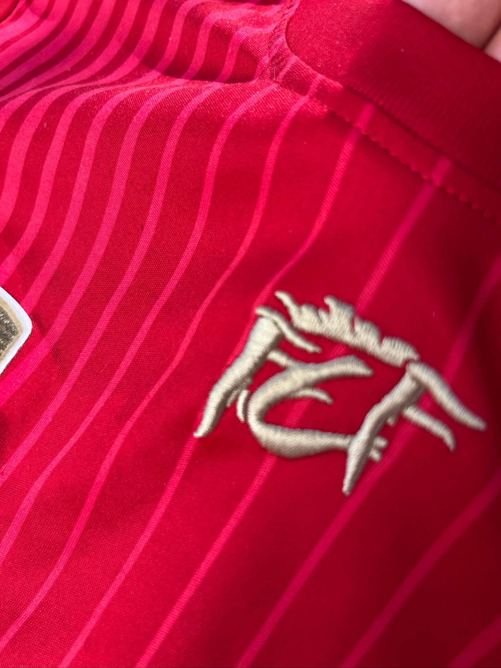 Camiseta Espanha | Campeões do Mundo 2010 | Vermelha | Tamanho 12 anos – photo 5